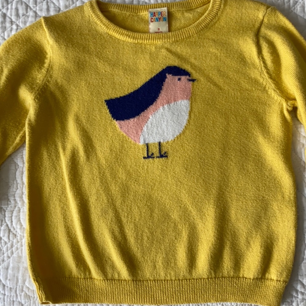 Harper Canyon Sweater EUC